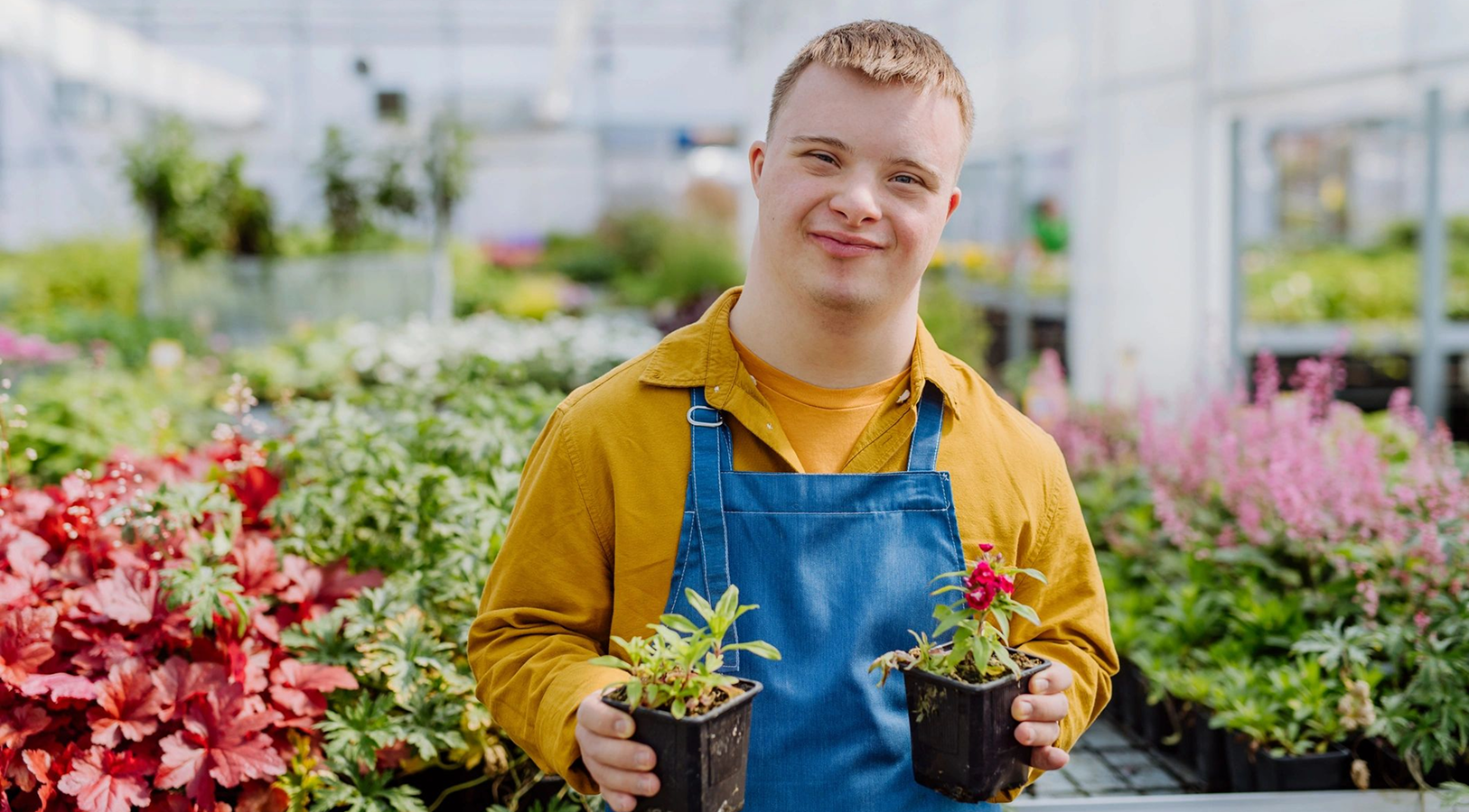 Person holding potted plants in a greenhouse.